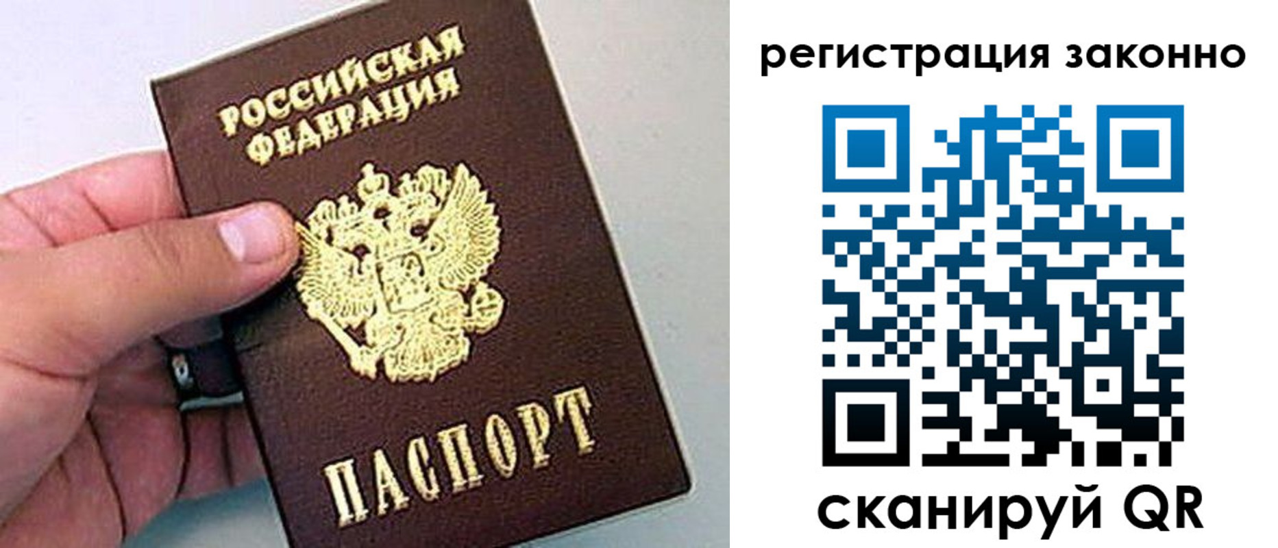 прописка ребенка в Пионерском